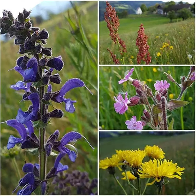 Mosaik Blumen